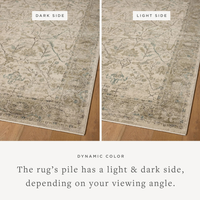 Briar BRR-02 Rug [Ivory/Sage]