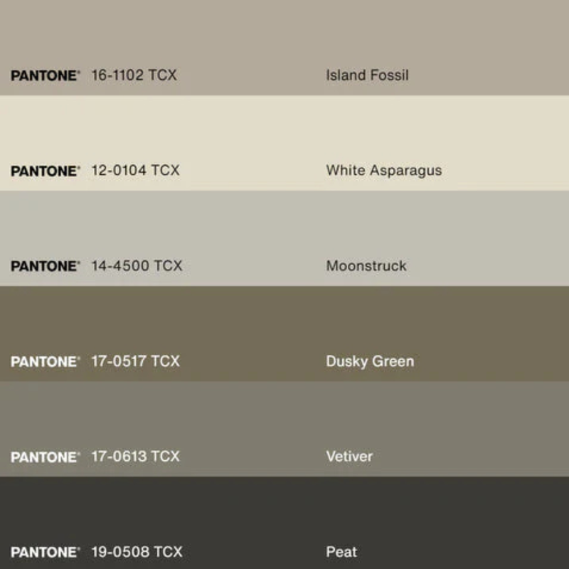 Shoreline Framed Artwork