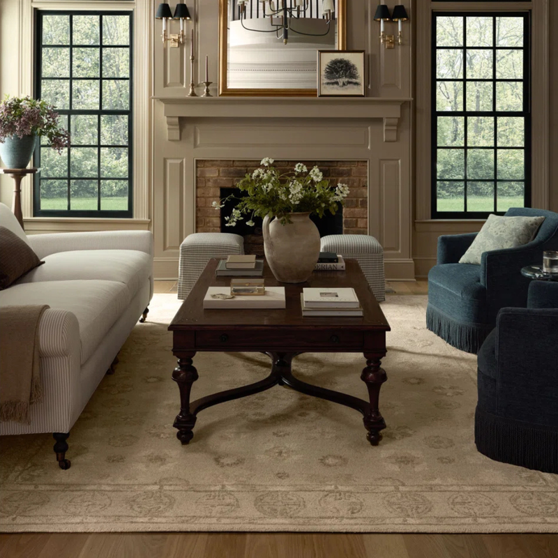 Dorothea DRT-03 (CJ) Rug [Dove/Natural]