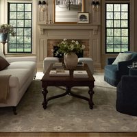 Dorothea DRT-01 (CJ) Rug [Stone/Multi]