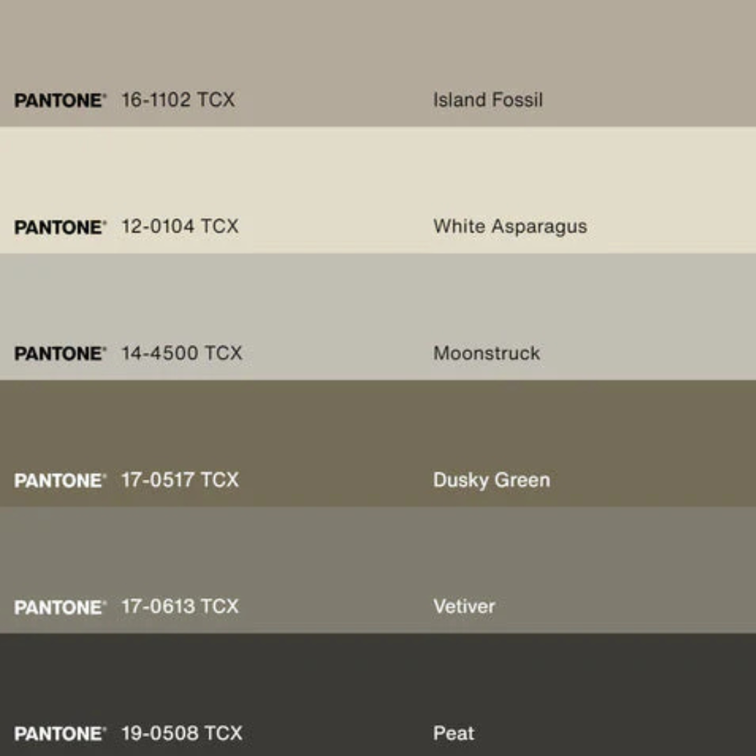 Shoreline Framed Artwork