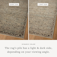 Briar BRR-06 Rug [Mist/Granite]
