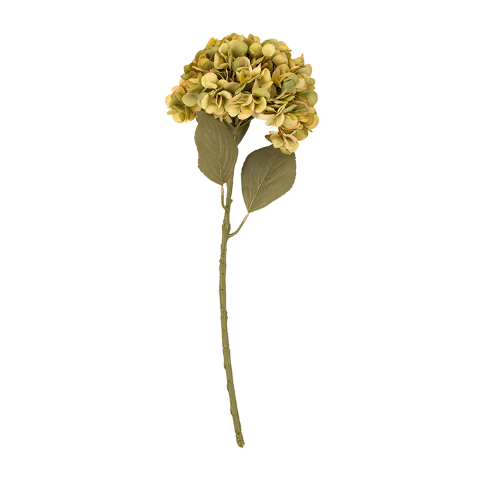 Hydrangea Floral Stem [Faded Green]