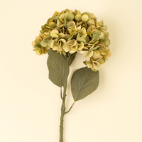 Hydrangea Floral Stem [Faded Green]