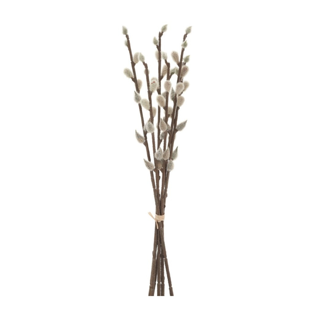 Pussy Willow Bouquet