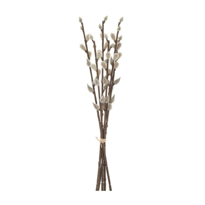 Pussy Willow Bouquet