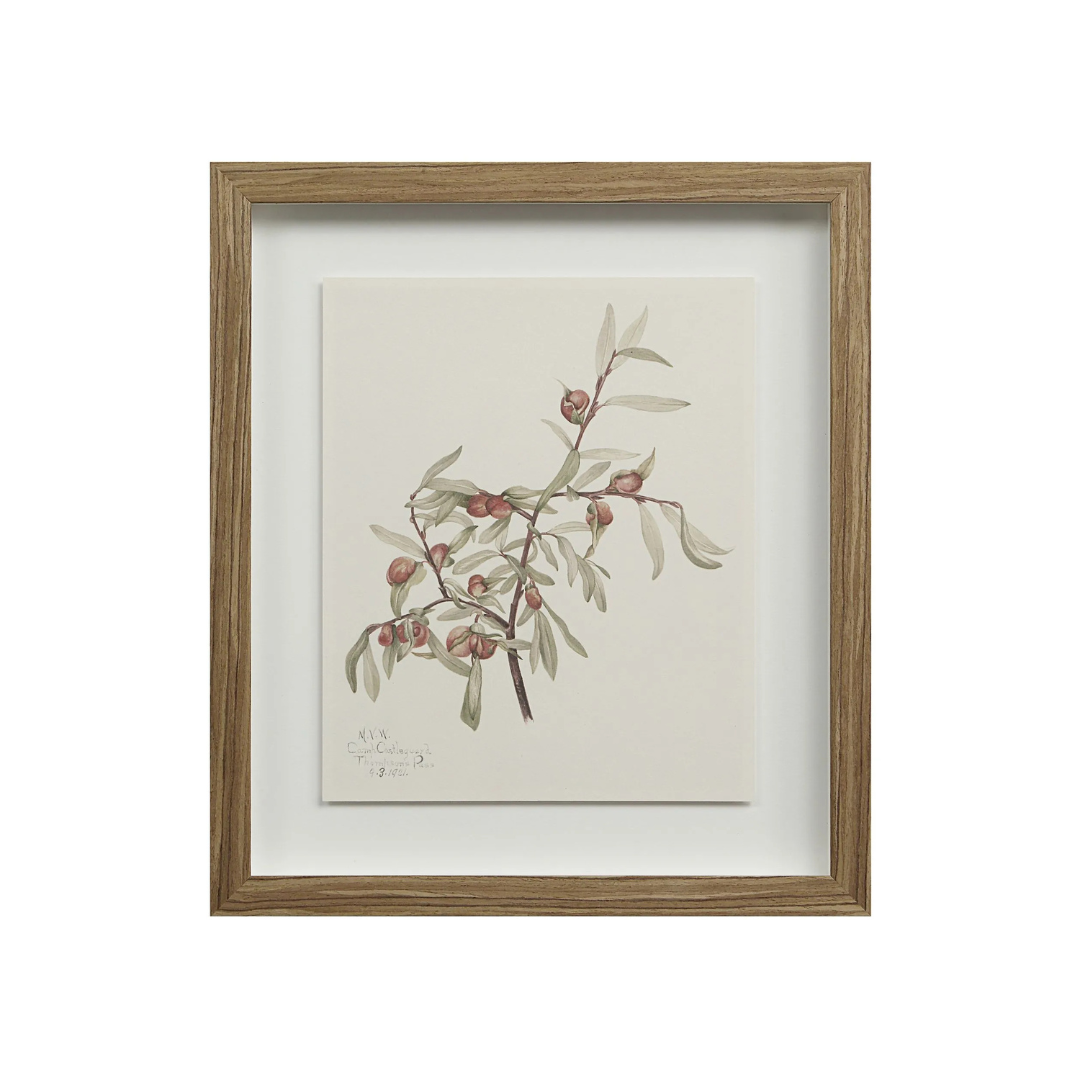 Corolla I [13" x 15" Framed Art Print]