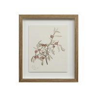 Corolla I [13" x 15" Framed Art Print]