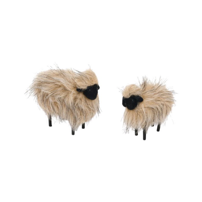 Standing Wool Sheep