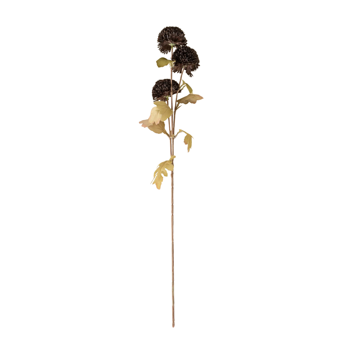 Pom Pom Floral Spray [Midnight]