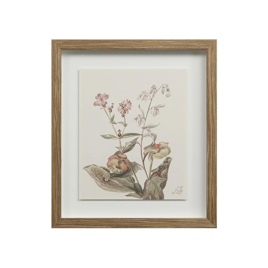 Corolla V [13" x 15" Framed Art Print]