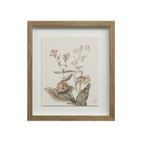 Corolla V [13" x 15" Framed Art Print]