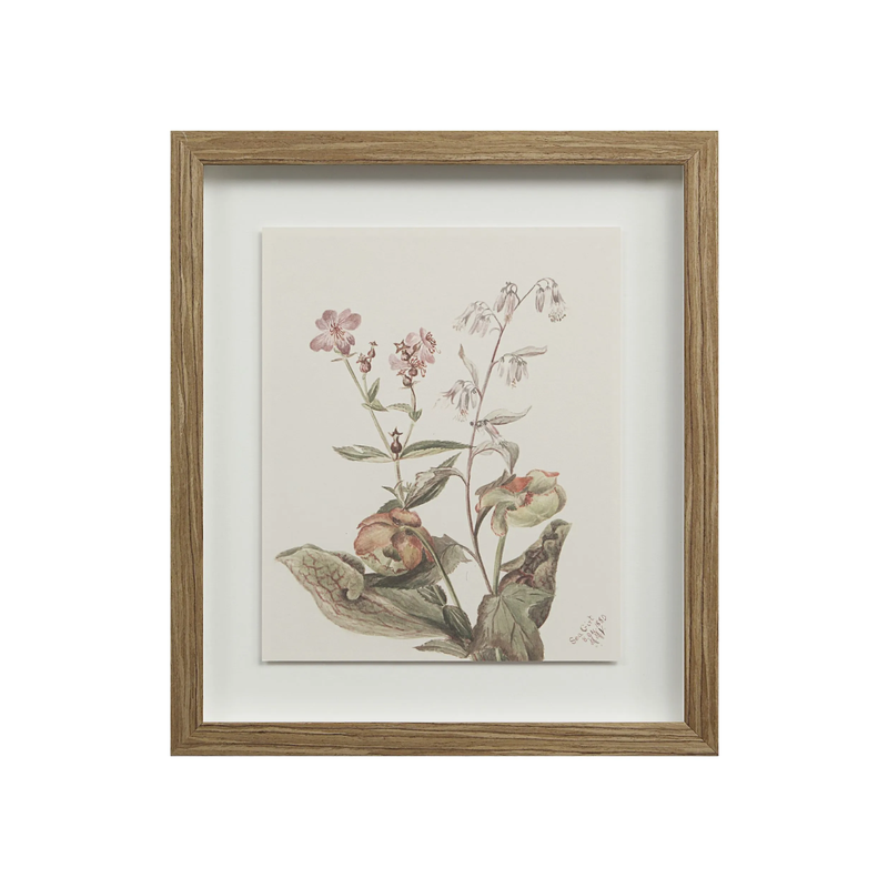 Corolla V [13" x 15" Framed Art Print]