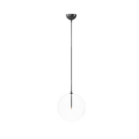 Blown Glass Globe Pendant