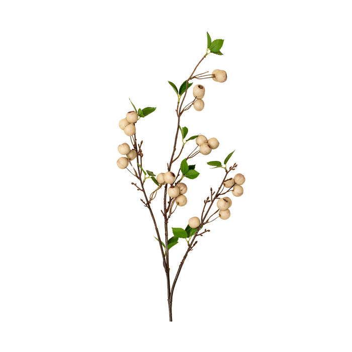 Wild Apple Berry Spray