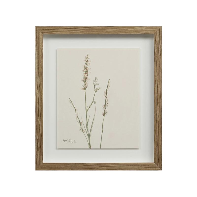 Corolla IV [13" x 15" Framed Art Print]