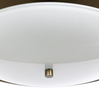 Hewitt Convertible Pendant / Semi-Flush