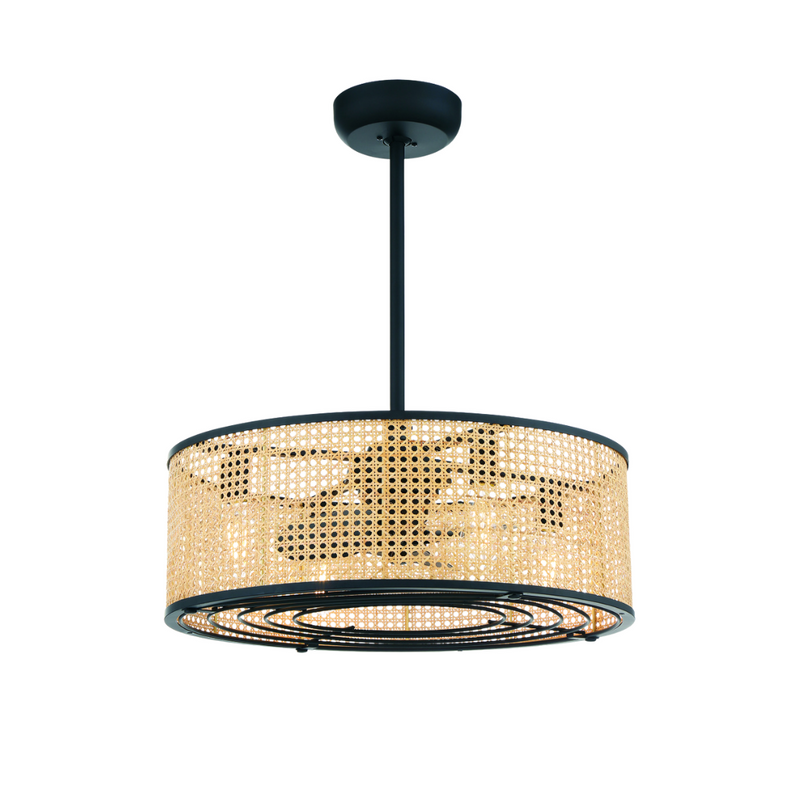 Astoria 4 Light Fan Light