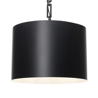 Alston 6 Light Pendant