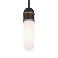 Capsule 1 Light Mini Pendant