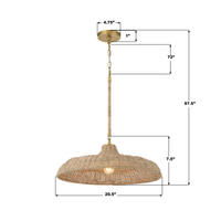 Odessa 1 Light Pendant