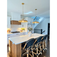 Odessa 1 Light Pendant