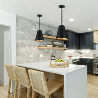 Alston 2-Light Mini Pendant