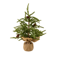 Winterwood 12" Tabletop Tree