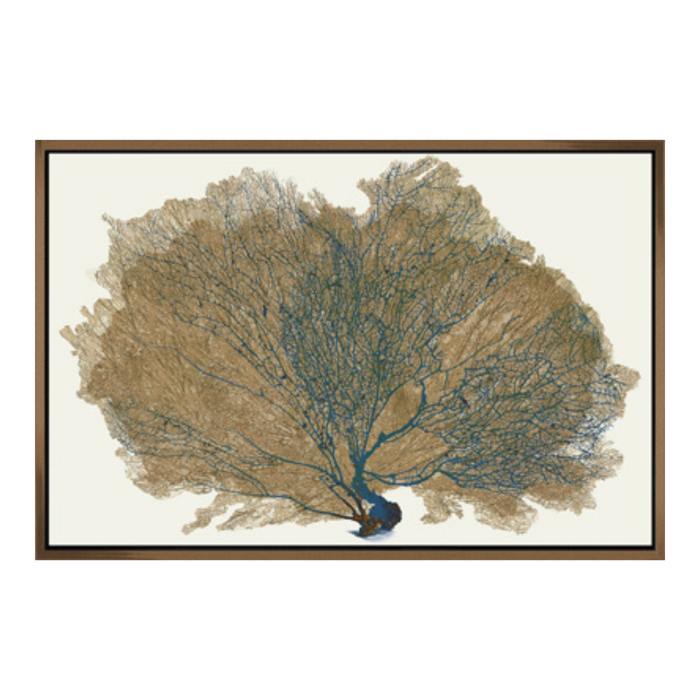 Blue Coral Framed Stretched Canvas [33" x 49"]