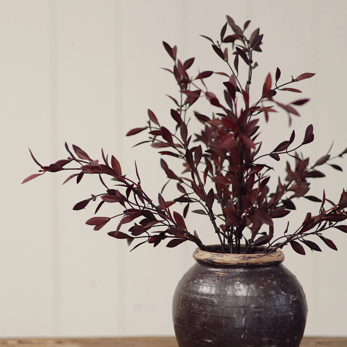 Willow Leaf Spray [Plum]