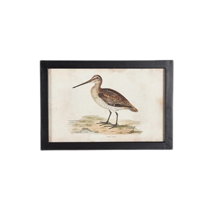 Waterfowl III Small Framed Print