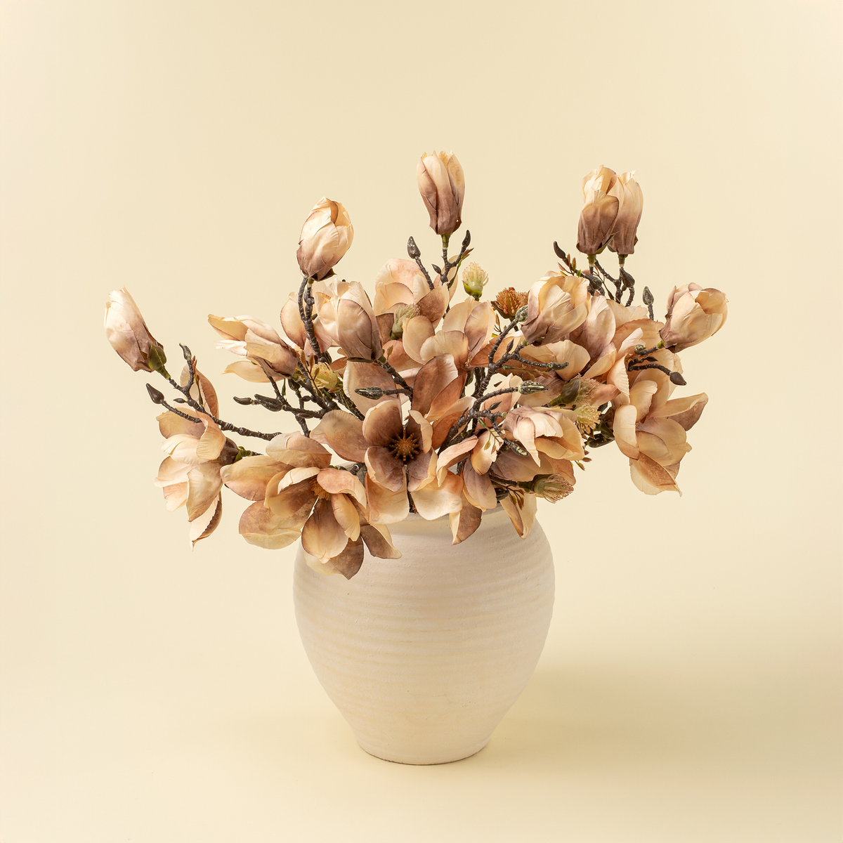 Magnolia Branch [Cream]