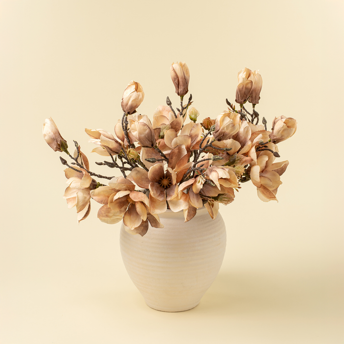 Magnolia Branch [Cream]