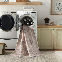 Amelie AML-2384 Machine Washable Rug