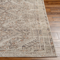 Amelie AML-2383 Machine Washable Rug