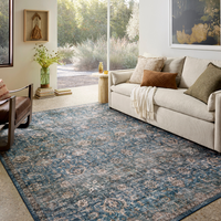 Anniston ANS-02 (Lagoon/Natural) Rug