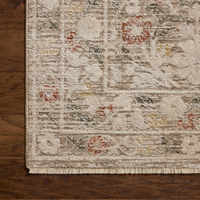 Clarisse CLS-01 Rug [Grey/Multi]