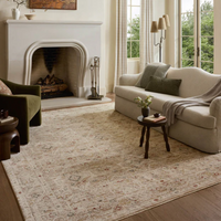 Clarisse CLS-08 Rug [Natural/Multi]