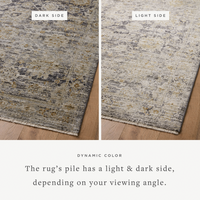 Katherine KES-02 (JS) Rug [Charcoal/Gold]