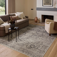 Josie (Amber Lewis × Loloi) JOS-03 Machine Washable Rug [Silver/Natural]