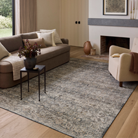 Josie (Amber Lewis × Loloi) JOS-05 Machine Washable Rug [Dove/Gold]