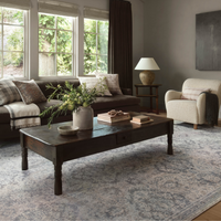 Zuma (Amber Lewis × Loloi) ZUM-06 Rug [Pebble/Stone]