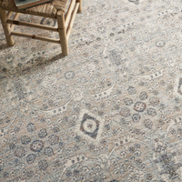 Zuma (Amber Lewis × Loloi) ZUM-07 Rug [Silver/Sky]