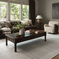 Zuma (Amber Lewis × Loloi) ZUM-01 Rug [Ivory/Multi]