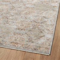 Zuma (Amber Lewis × Loloi) ZUM-05 Rug [Silver/Multi]