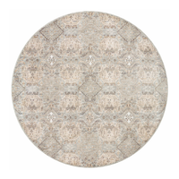 Zuma (Amber Lewis × Loloi) ZUM-05 Rug [Silver/Multi]