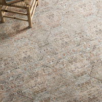 Zuma (Amber Lewis × Loloi) ZUM-05 Rug [Silver/Multi]