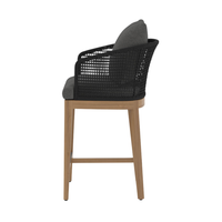 Carli Counter Stool