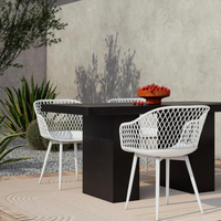 Paige Outdoor Dining Chair [Set of 2]