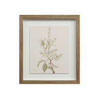 Corolla VII [13" x 15" Framed Art Print]